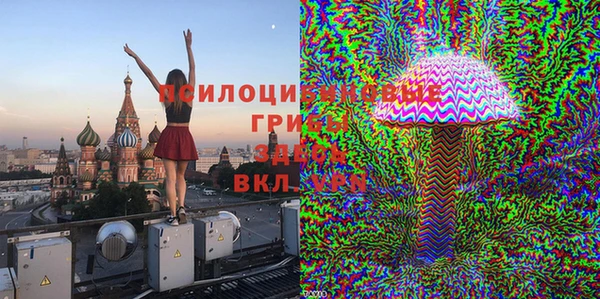 ГАЛЛЮЦИНОГЕННЫЕ ГРИБЫ Заволжье