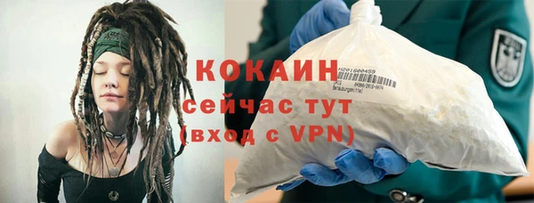ГАЛЛЮЦИНОГЕННЫЕ ГРИБЫ Заволжье