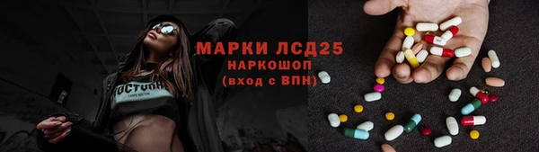 ГАЛЛЮЦИНОГЕННЫЕ ГРИБЫ Заволжье