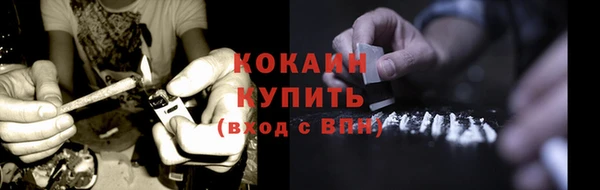 ГАЛЛЮЦИНОГЕННЫЕ ГРИБЫ Заволжье