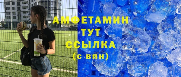 ГАЛЛЮЦИНОГЕННЫЕ ГРИБЫ Заволжье