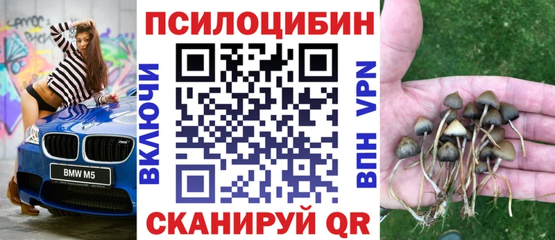 Псилоцибиновые грибы MAGIC MUSHROOMS Артёмовский