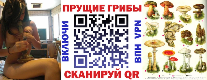 Купить  Артёмовский  Галлюциногенные грибы мицелий 